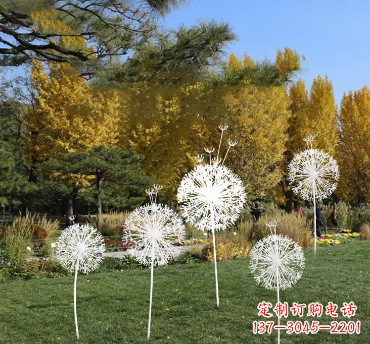 商丘不锈钢蒲公英景观雕塑艺术与美的完美结合