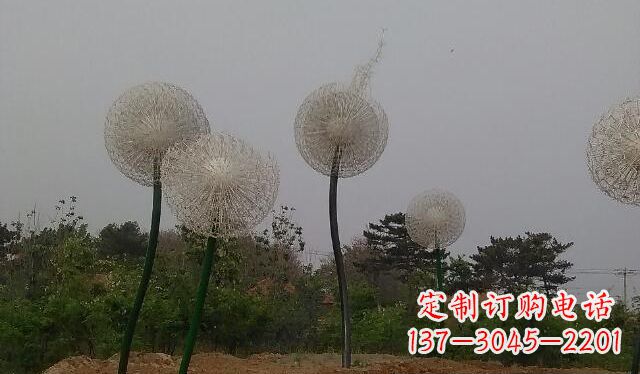 商丘蒲公英的绚丽多彩