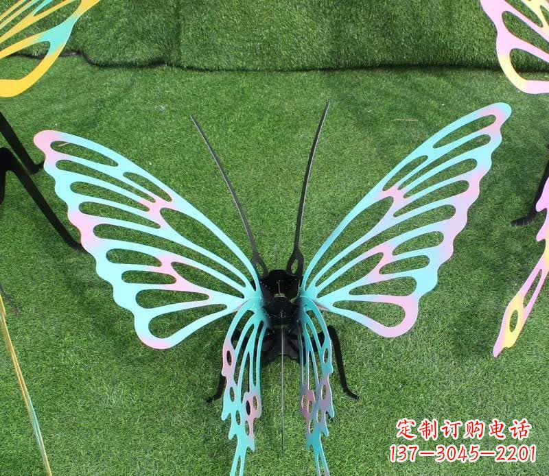 商丘彩色不锈钢镂空蝴蝶雕塑