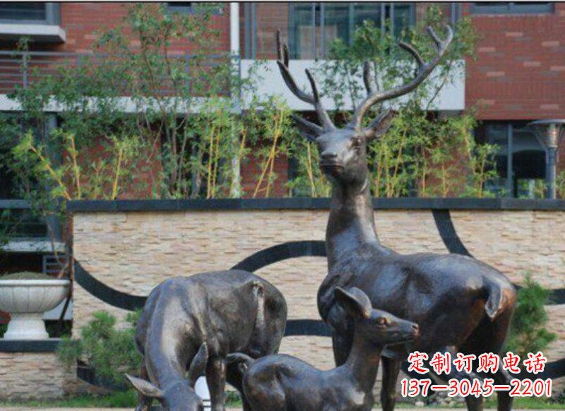 商丘公园梅花鹿动物铜雕