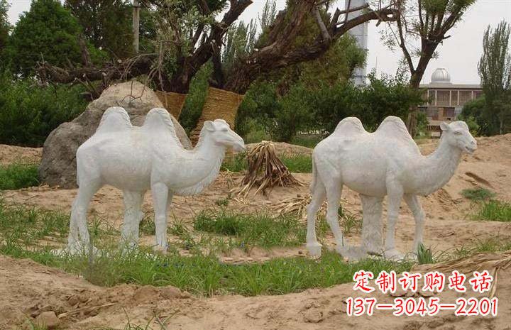 商丘石雕骆驼公园动物雕塑