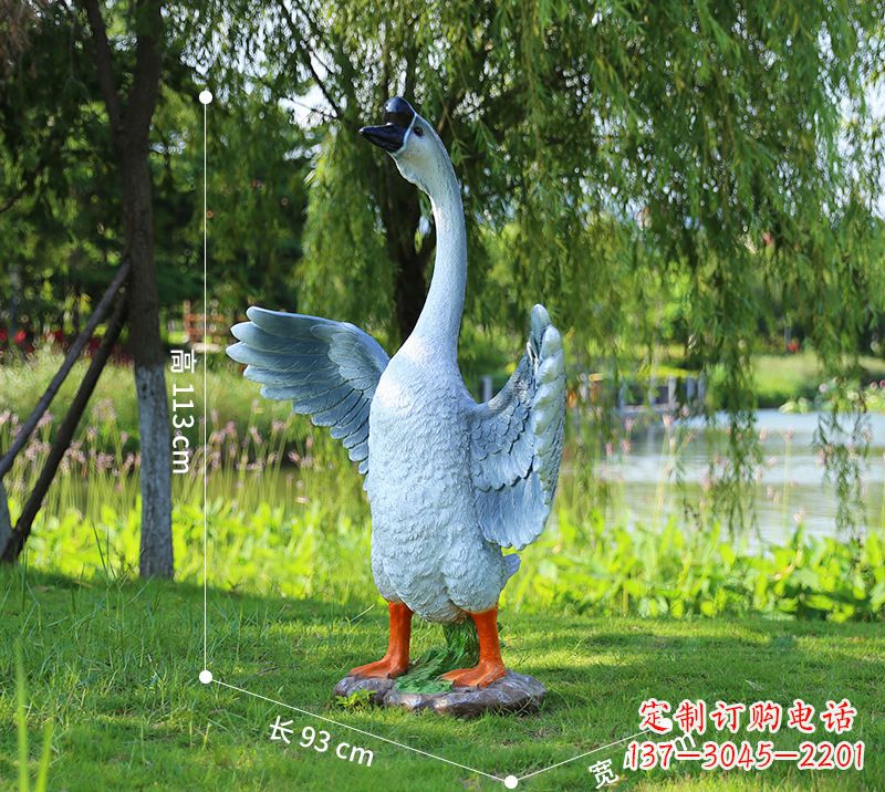 商丘站立的灰色展翅天鹅